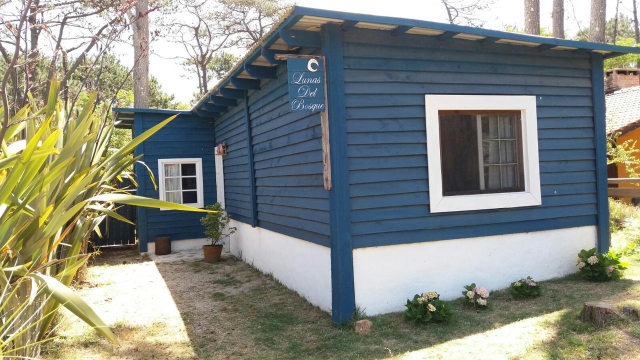 Lunas del Bosque Cabaña y apartamento en suite La Paloma Exterior foto